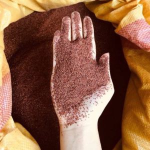 100g Ngũ hoa hạt nguyên chất hạt ngũ hoa hạt đinh lịch chăm sóc da