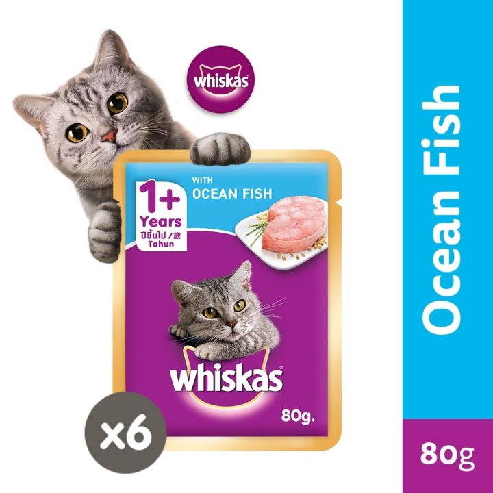 Lazada whiskas best sale