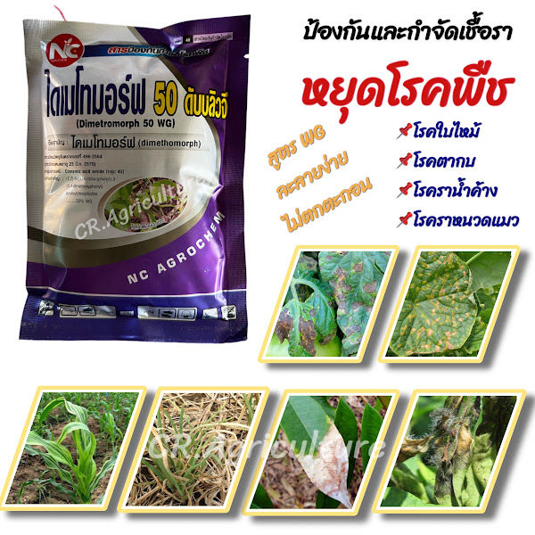ไดเมโทมอร์ฟ สารกำจัดเชื้อราชนิดดูดซึม 100 กรัม ตราNC