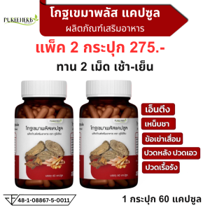 แพ็ค 2 กระปุก โกฐเขมาพลัส แคปซูล ตราภูรีเฮิร์บ Puree Herb ปวดเมื่อย เส้นยึด เส้นตึง รองช้ำ 1 กระปุก 60 แคปซูล
