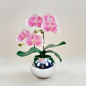 แจกันกล้วยไม้ปลอมแจกันดอกไม้ปลอมขนาดเล็ก ตกแต่งบ้าน