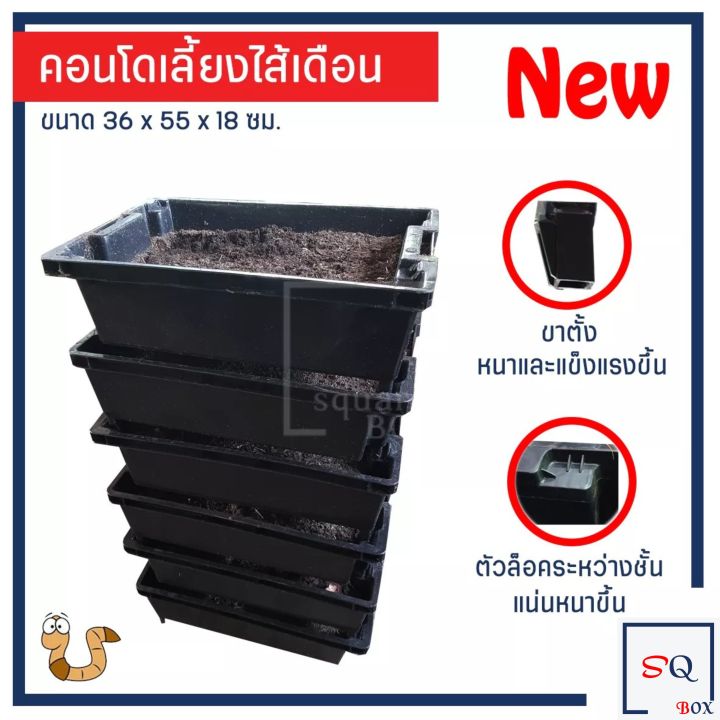 กล่องคอนโดเลี้ยงไส้เดือน แข็งแรง ซ้อนได้สูง