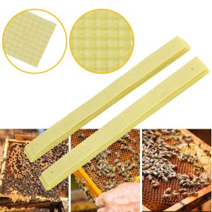 40 PCS Strip obat kutu lebah/Manhao Fluvalinate Strip Obat Pembunuh Tungau Lebah Varroa Pembasmi Kutu