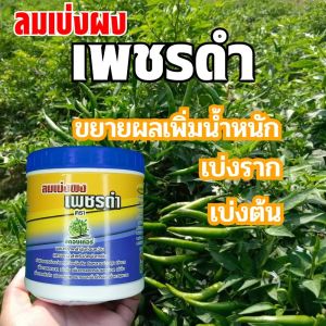 เพชรดำเบ่งราก แตกหน่อ เบ่งผลผลิต ขยายช่องว่างเม็ดดิน เพิ่มออกซิเจนในดิน ต้นพืชแข็งแรง ลมเบ่งผง1กระปุก เพิ่มประสิทธิภาพการสังเคราะห์แสง สินค้าพร้อมส่ง