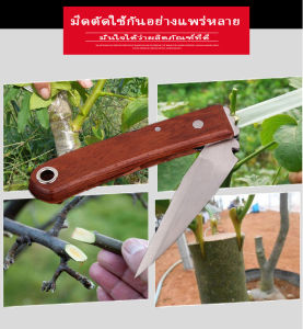 5 - 8 นิ้ว ดิจิทัล และ ปลายแหลม มีดตอนกิ่ง ที่ชำกิ่ง เพื่อใช้ด้วยกับติดตา สำหรับคุณมีดสแตนเลส และมีดตอนกิ่ง