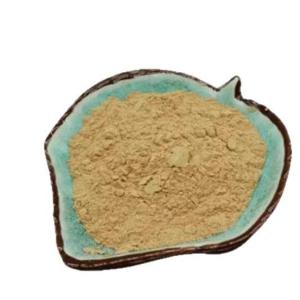 Arctium Extract water-soluble powder quality guaranteed samples available 1kg package ready stock free shipping