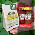 Pupuk Booster Stoberi / Obat Booster Buah Strawberry / Pupuk Booster Strawberry / Pupuk Strawberry. 