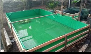 TERPAL KOLAM IKAN 200x400x75 CM A20 PALING T EBAL BAHAN ASLI KOREA KUAT