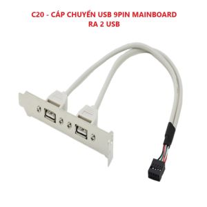 Cáp chuyển đổi USB 9 Pin mainboard ra 2 USB - C20 (Màu trắng)