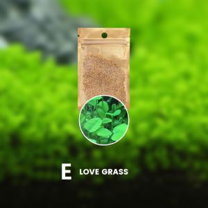 Lovinland Cây Lá Mini Dễ Trồng 6 Kiểu Trang Trí Cây Cỏ Nước Glossostigma Hemianthus Cây Cỏ Nước Bể Cá Bãi Cỏ
