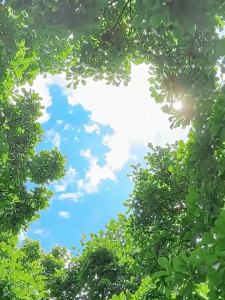 Handheld Usb Mini Fan Portable USB Charging Fan Creative Office Desktop Hand-held Small Fan Catapult Pocket Fan