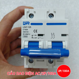 Cầu dao điện Ac 2P 100A 10KA LWR CB AC 2P 100A 220v