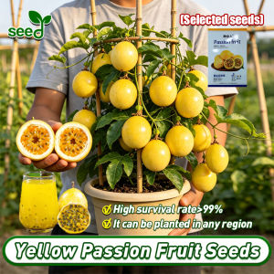[Selected Seeds 50pcs] 100% Original Yellow Passion Fruit Seeds High Yield Passion Fruit Seeds for Planting Sweet Juicy Climbing Plants Seeds Edible Bonsai Seeds for Gardening Rare Fruit Tree Seeds Balcony Live Plants for Sale Real Plants Berries Fruits