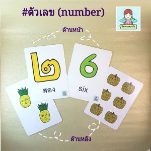 แฟลชการ์ดหมวดตัวเลข (number) คุ้มสุด! มีทั้งเลขไทยและเลขอารบิกในกล่องเดียว