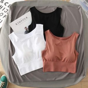 Áo croptop nữ Blue Chic sát nách ba lỗ thun không tay kiểu ôm body tank top vải cotton co giãn tốt 3 màu đen trắng nâu