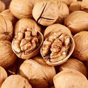 Roasted Walnuts with Herbal and Milky Flavor Nut Snack  Roasted Walnuts Herbal Flavor Milk Flavor Nuts Snacks