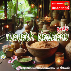 เพลงสปา mp3 (ชุดที่ 3) SPA Music สำหรับร้านนวด เพลงร้านสปา ผ่อนคลาย บำบัดจิตใจคลายเครียด แฟลชไดร์ฟ USb Mp3
