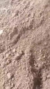 Phân Trùn Quế Bón Rau Sạch Cây Cảnh Cải Tạo Đất Tơi Xốp Bổ Sung Dinh Dưỡng Cho Cây