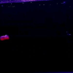 Umpan Pancing Ikan Softlure Ekor Goyang Memantul 10 Cm 6 Gr