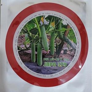 Hạt Giống Dưa Leo lai F1 TAKAKU JAPA 379 (Gói 10G) trái bóng dài rất năng suất