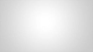 990 Silver Guppy Fish Pot Water Softener – Guppy Purifying Water for Gongfu Tea Ceremony Premium Silver Tea Accessory for Enhanced Flavor