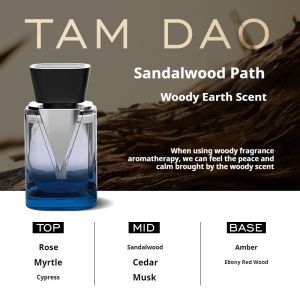 CARORI 香百年 Car Perfume V途 air freshener car diffuser aromatherapy perfume kereta air car perfume