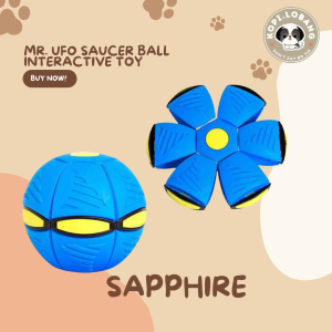 ✅[SG] MR. UFO SAUCER BALL INTERACTIVE TOY WITH 3 LED MAGIC LIGHTS★ Trick Training ★ FREE Training e-Guide Worth $7 ★ Enrichment ★ SG Stock ★ Kopi Lobang