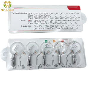 Dental WOODPECKER EMS DTE SATELEC Detachable handpiece Ultrasonic Scaler Tips G1 G2 G4 P1