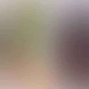 紫砂电炖锅全自动家用养生电砂锅煲汤宝宝熬煮粥锅陶瓷电炖盅炖汤