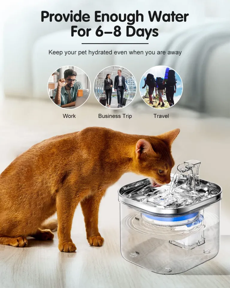 Cat Water Fountain, 2L 304 Stainless Steel Cats Fountain Water Bowl, Quiet  Electric Automatic Pet Water Dispenser, Pet Drinking Fountains for Cats,
