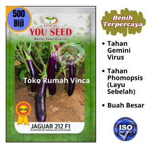 Benih Bibit Terong Ungu Panjang Tahan Layu JAGUAR F1 500s Cap You Seed