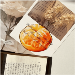 HQIANGDA Transparent Apple Bookmark Premium Feeling Delicate Grape Tomato Bookmarks Unique Simulation Bookmark Student Gift