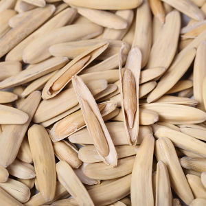 年货 牙签瓜子五香原味瓜子炒货零食 New Years Goods Toothpick Sunflower Seeds Spiced Original Flavored Sunflower Seeds Stir-Fried Goods Snacks