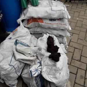 Batu LAVA ROCK KARUNGAN Aquascape Aquarium LAVAROCK LARVA ROCK