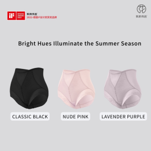 [CNY Promo] [Bundle of 3] -  My Florgen - Ultra-Thin Ice Silk Womens High Waist 5A Antibacterial Underwear-Quick Dry Women Underwear