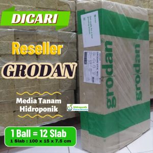 ROCKWOOL HIDROPONIK GRODAN 1 BALL TEKNOLOGI NG2.0 Rockwool yang memberikan pertumbuhan akar tanaman lebih cepat dan optimal sehingga hasil akhir tanaman akan memuaskan.