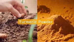 Beef Tallow Balm Shea Butter Honey Balm Lavender Face Cream Citrus Body Butter Balm