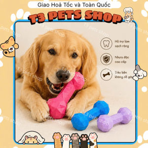 đồ chơi nhựa đặc khúc xương 3D dành cho chó - T3 PETS SHOP