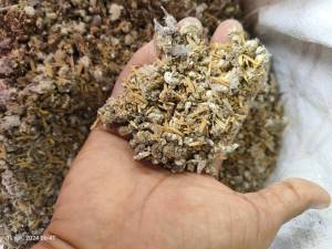 ปุ๋ยมูลนกกระทาแท้ ตากแห้ง เร่งดอก ดอกดก งามมาก 1ถุง 500 กรัม