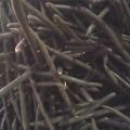 Biji Asam Trengguli 1Kg. 
