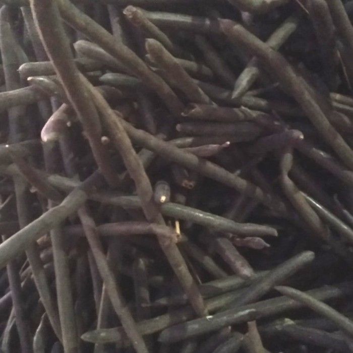 Biji Asam Trengguli 1Kg