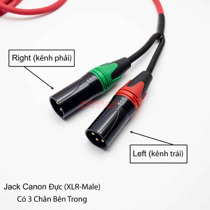 D%C3%A2y%20Jack%203.5%20Sang%202%20%C4%90%E1%BA%A7u%20Canon%20%C4%90%E1%BB%B1c%20%7C%20D%C3%A2y%20Rack%203li%20Canon%20%7C%20D%C3%A2y%20Ph%C3%A1t%20Nh%E1%BA%A1c%20Laptop%20Qua%20Mixer%20%7C%20D%C3%A2y%20Ph%C3%A1t%20Nh%E1%BA%A1c%20%C4%90i%E1%BB%87n%20Tho%E1%BA%A1i%20Mixer%20%7C%20D%C3%A2y%20R%E1%BA%AFc%203%20ly%20Canon%20%7C%20D%C3%A2y%20Canon%203.5mm%20%7C%20D%C3%A2y%20Audio%20%7C%20D%C3%A2y%20%C3%82m%20Thanh%20Canon%20%7C%20D%C3%A2y%20%C3%82m%20Thanh%203.5%20ly%20-%20MrG%20-%20Image%204