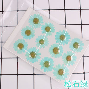 ดอกไม้จริงทับแห้ง ดอกเดซี่ Daisy แต่งเคสโทรศัพท์เรซิ่น เครื่องประดับต่างๆ diy ขนาด 2.5-3 cm