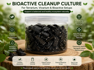 Bioactive Terrarium Cleanup Culture Starter for Vivarium & Humidity Ecosystem