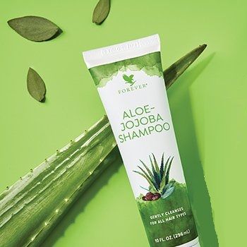 Forever Aloe - Jojoba Shampoo 296ml | Lazada PH