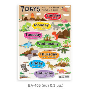 แผ่นความรู้พลาสติก ขนาด A4 ( 12 Months 3 ภาษา 7 Days  12 Months  มานับ 1-10 )หนา 0.3 มม.