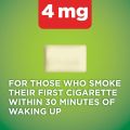 Basic Care Nicotin Gum Mint Flavor 310 Count (Packaging May Vary). 