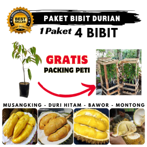 Paket 4 Bibit Durian Gratis Packing Peti Full Media Tanam - Musangking Bawor Duri Hitam Montong