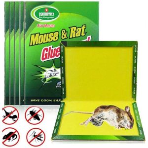 Mouse Rat Glue Trap Rodent expert/Rat Glue snare sticker mice board