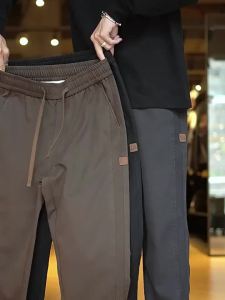 Brand Clothing New Soft Lyocell Fabric Pants Men Thick Loose Straight Drawstring Elastic Waist Korea Casual Cargo Trousers Male2026